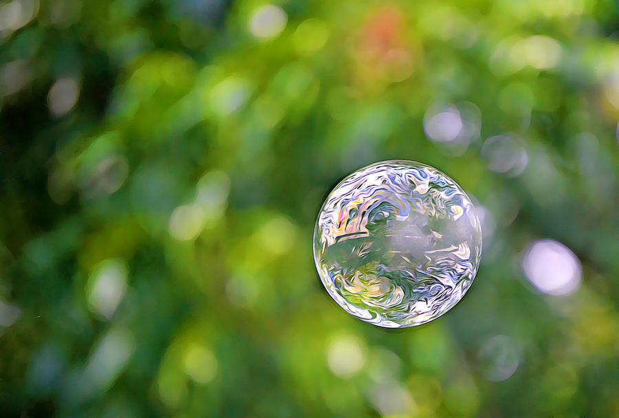 Breezy Bubble Photograph by Gaby Ethington - Fine Art America