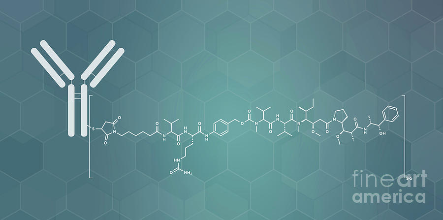 Brentuximab Vedotin Antibody-drug Conjugate Photograph By Molekuul ...