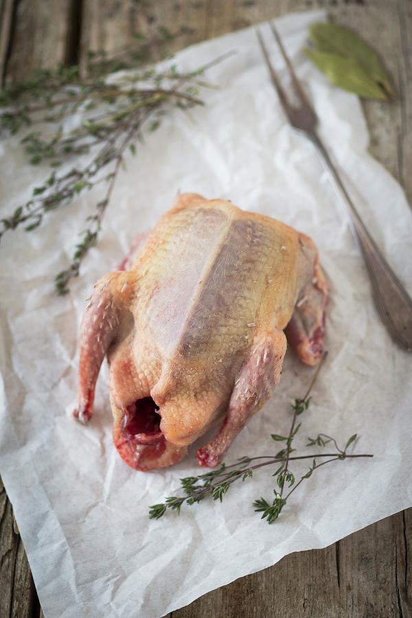 Bresse Pigeon With Thyme On Paper Photograph by Jan Wischnewski