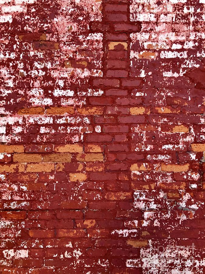 Brick Wall Photograph by Flavia Westerwelle