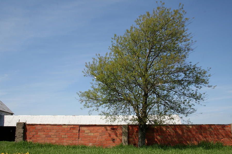 Brickline Farm by Dylan Punke Brickline Farm by Dylan Punke
