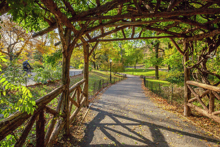 Bridal Path In Central Park, Nyc Digital Art by Claudia Uripos