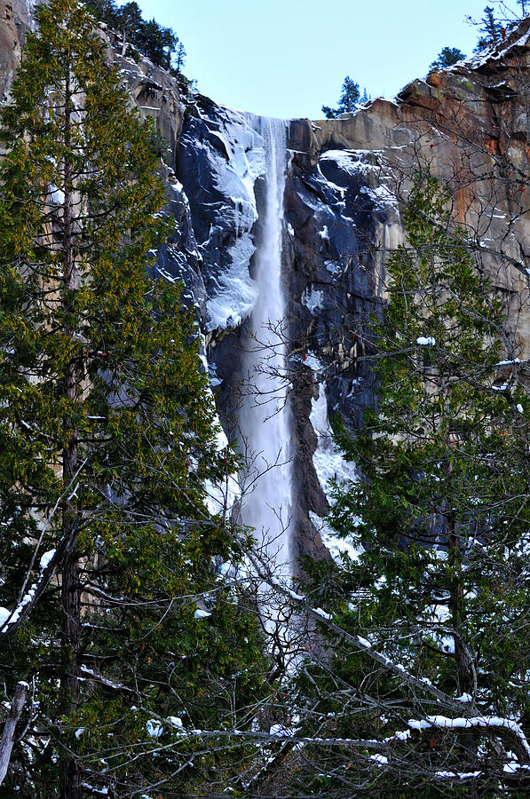 Bridal Veil Falls In Yosemite In Photograph by Barbara Rich