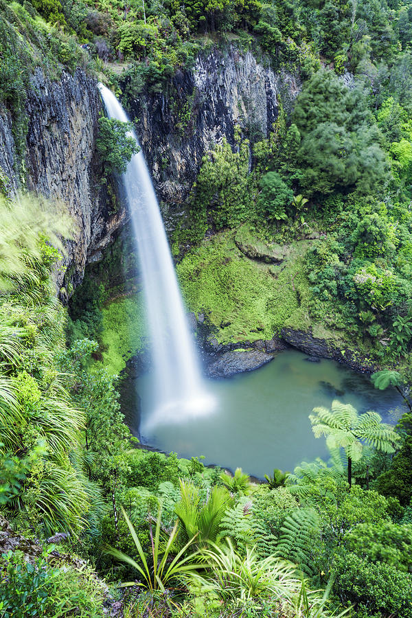 Bridal Veil Falls Waireinga, New Zealand Photograph by Matteo Colombo