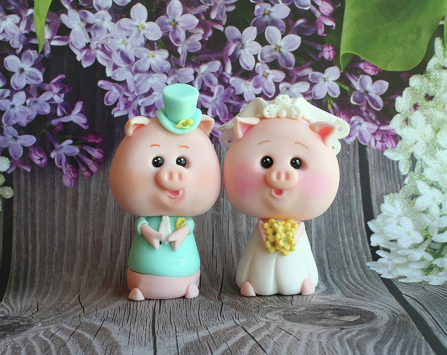 Pig Photograph - Bride And Groom Piggy by Sugar High