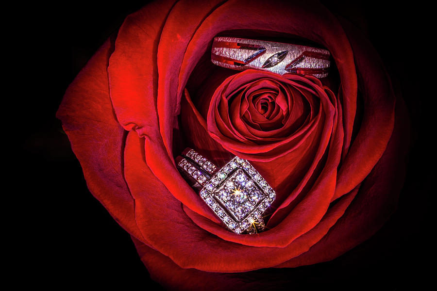 Bride And Groom S Rings In Red Rose Photograph By Chic Gallery