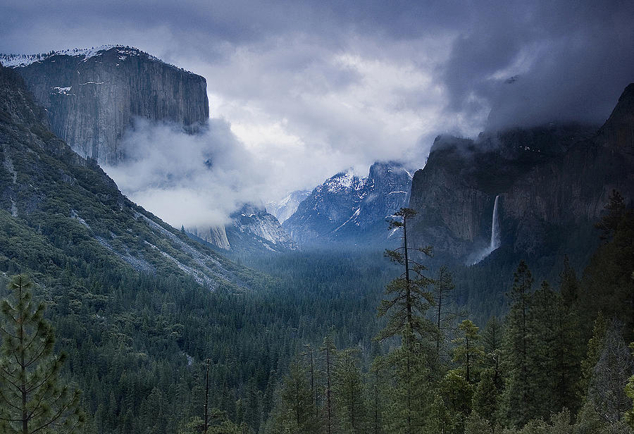 Yosemite National Park Photograph - Brideveil Falls Yosemite Valley National Park by Ken Aaron