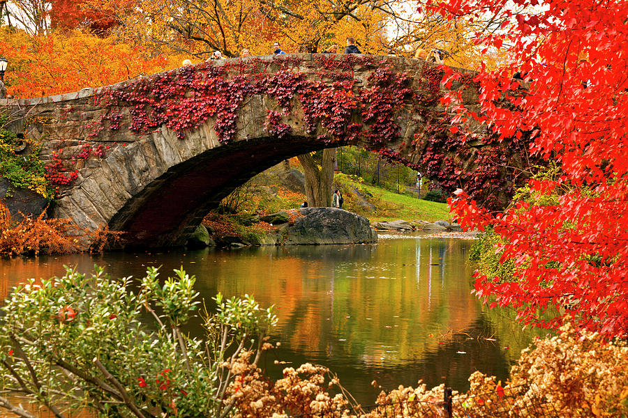 Bridge & Pond, Central Park, Nyc Digital Art by Claudia Uripos