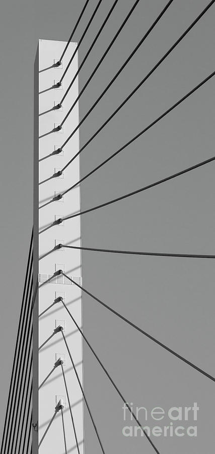 Bridge Abstract In Black And White Photograph by Wendy Wilton