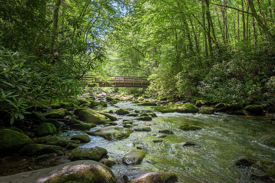 Bridge Across Fires Creek Photograph by Mark Duehmig Bridge Across Fires Creek Photograph by Mark Duehmig