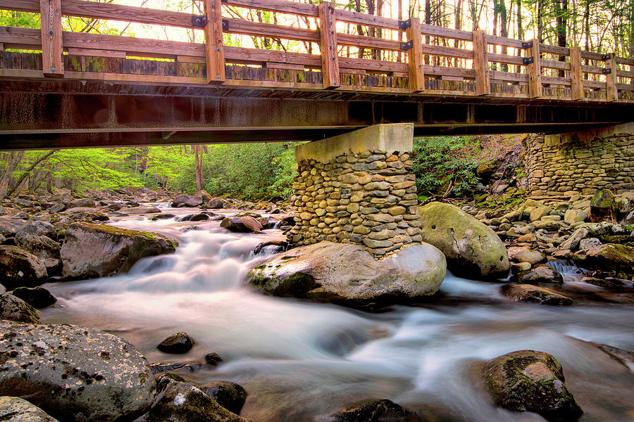 Landscape Photograph - Bridge And Cascade IIi by Danny Head