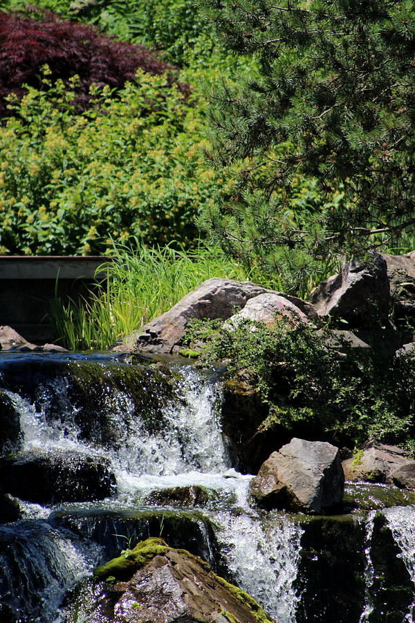 Bridge and Waterfalls at Chicago Botanical Gardens Photograph by Colleen Cornelius