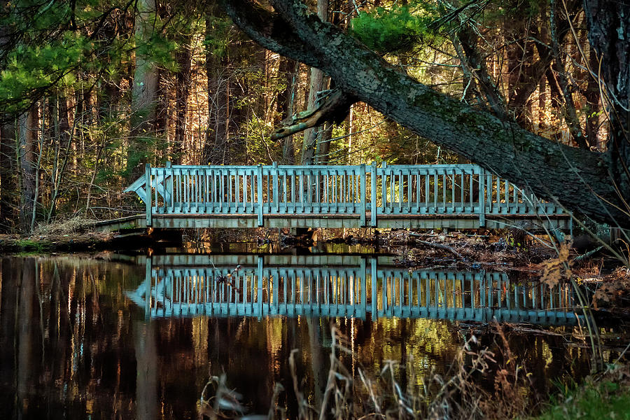 Bridge at Belding Wildlife Management Area Photograph by Phil Cardamone