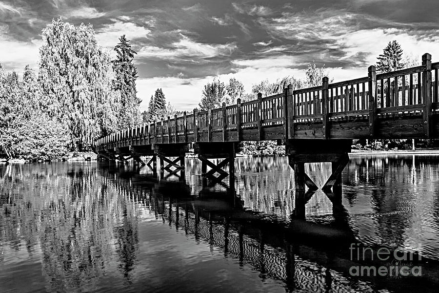 Bridge at Drake Park Black and White Photograph by David Millenheft