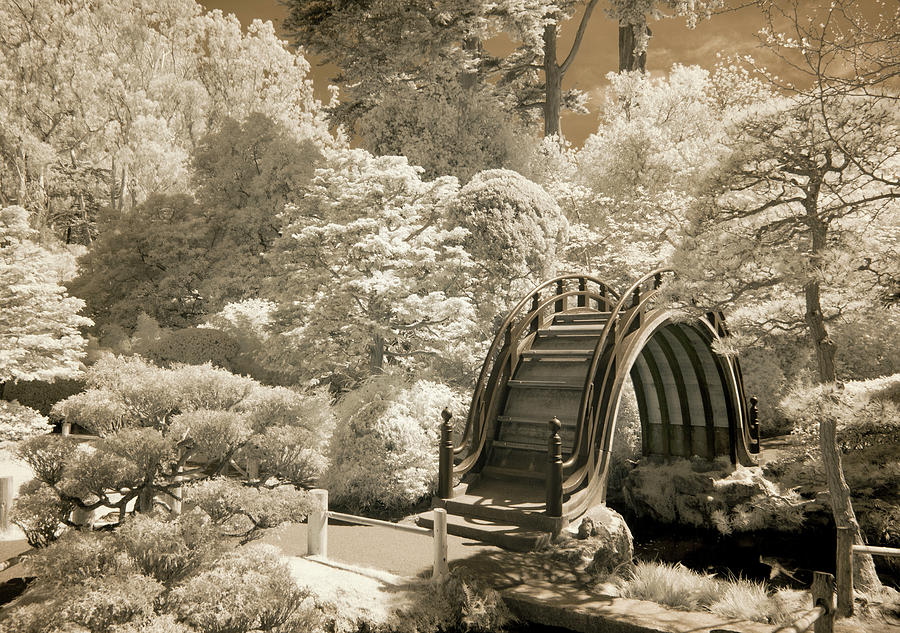 San Francisco Photograph - Bridge At Japanese Tea Garden, San Francisco, California 11 - Ir by Monte Nagler