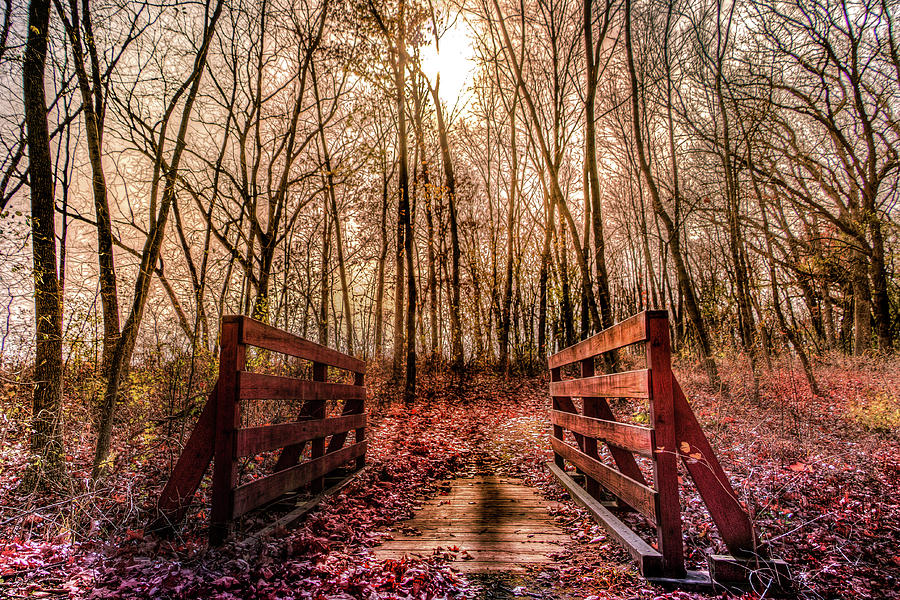 Bridge In Autumn Photograph