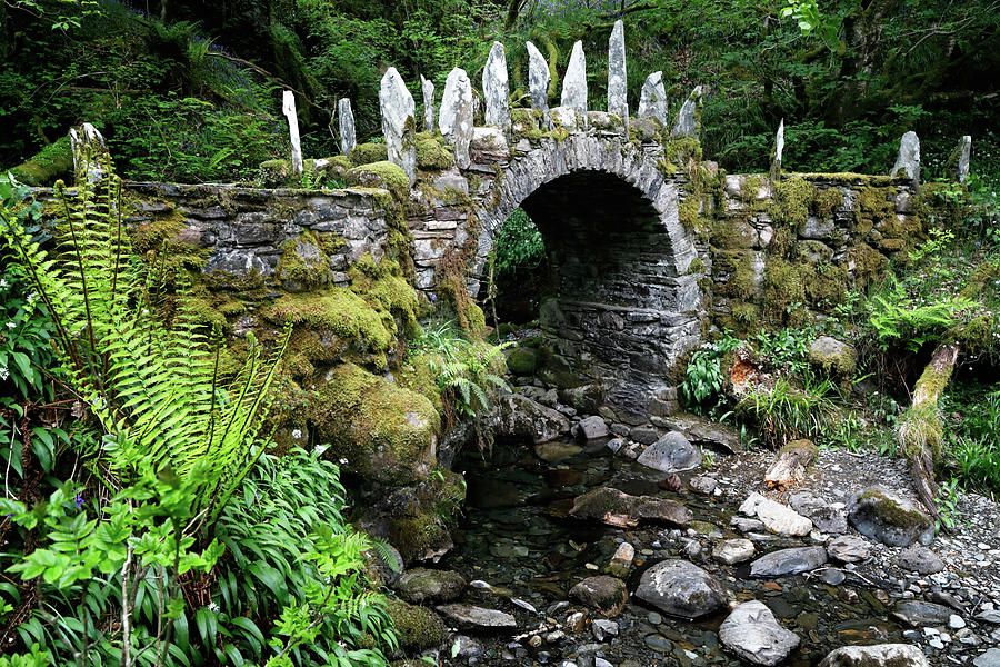 Bridge in Fairy Land Photograph by Nicholas Blackwell