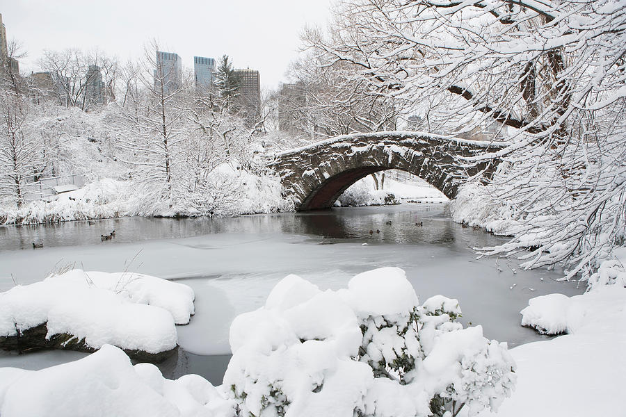 Bridge In Snowy Urban Park Digital Art by Ditto - Fine Art America