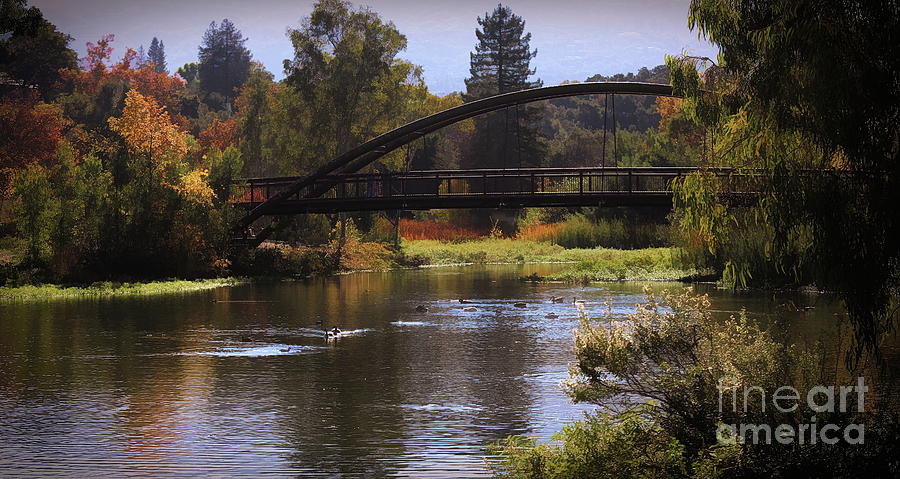 Bridge of Vasona Lake  Photograph by Chuck Kuhn