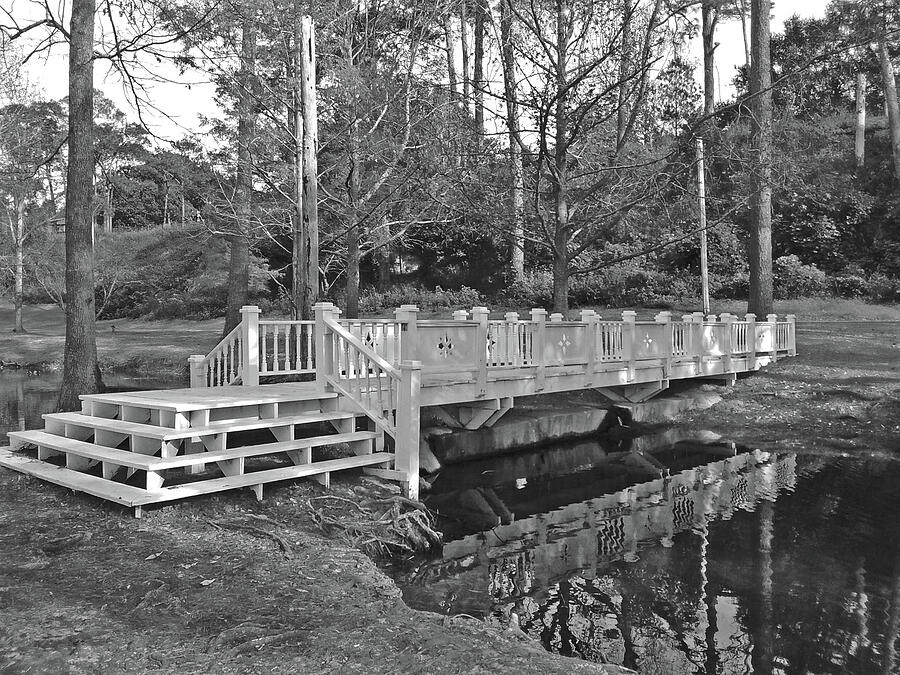 Tree Photograph - Bridge Over Calm Water - Black and White by Marian Bell