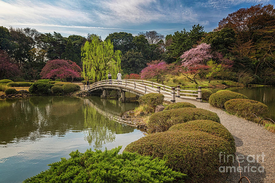 Bridge Over Kamino Ike Shinjuku Gyoen Photograph by Karen Jorstad ...