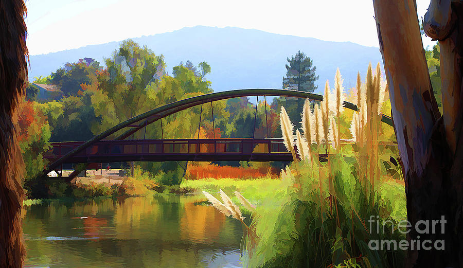 Bridge over Lake Vasona Color Digital Cattails  Photograph by Chuck Kuhn