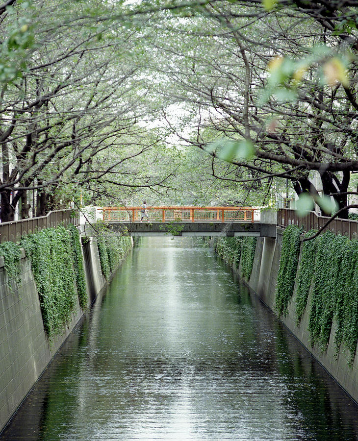 Bridge Over Meguro River Photograph by Masahiro Hayata