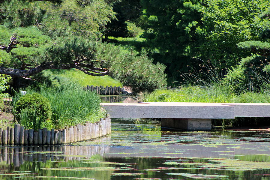 Bridge Over Pond in Japanese Garden Photograph by Colleen Cornelius