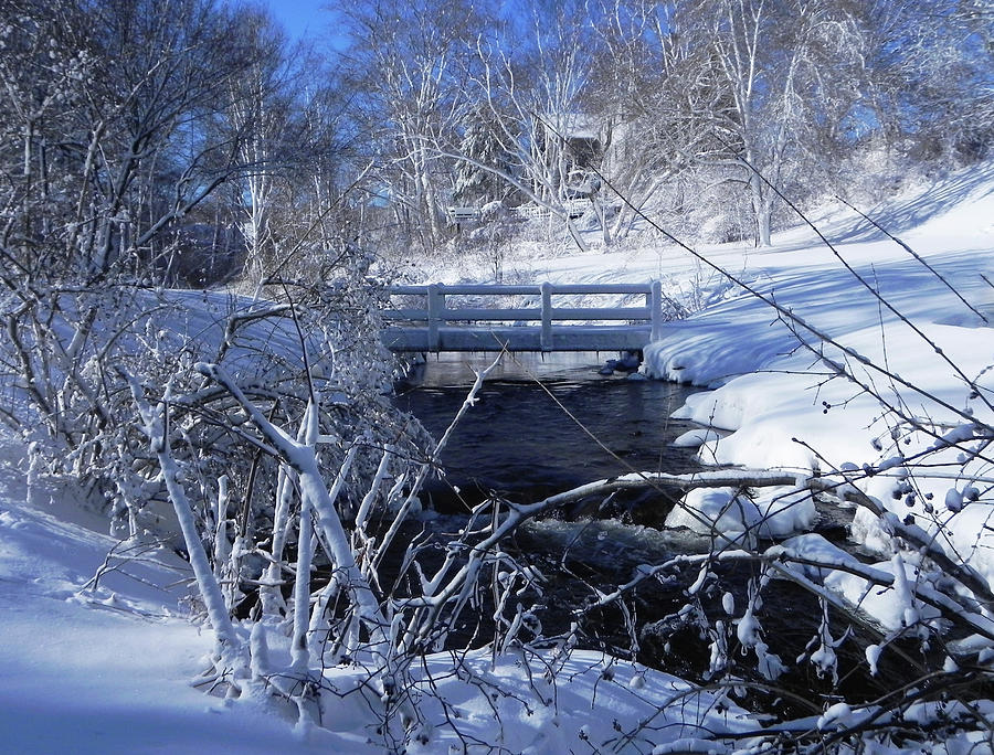 Bridge Over The Creek Photograph by Kathleen Moroney
