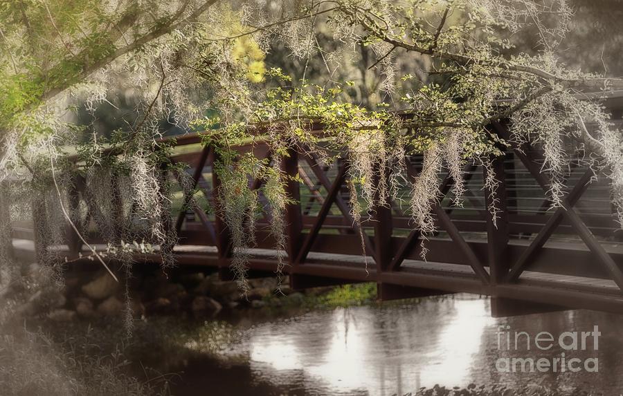 Bridge Over Troubled Waters by Mary Lou Chmura Bridge Over Troubled Waters by Mary Lou Chmura