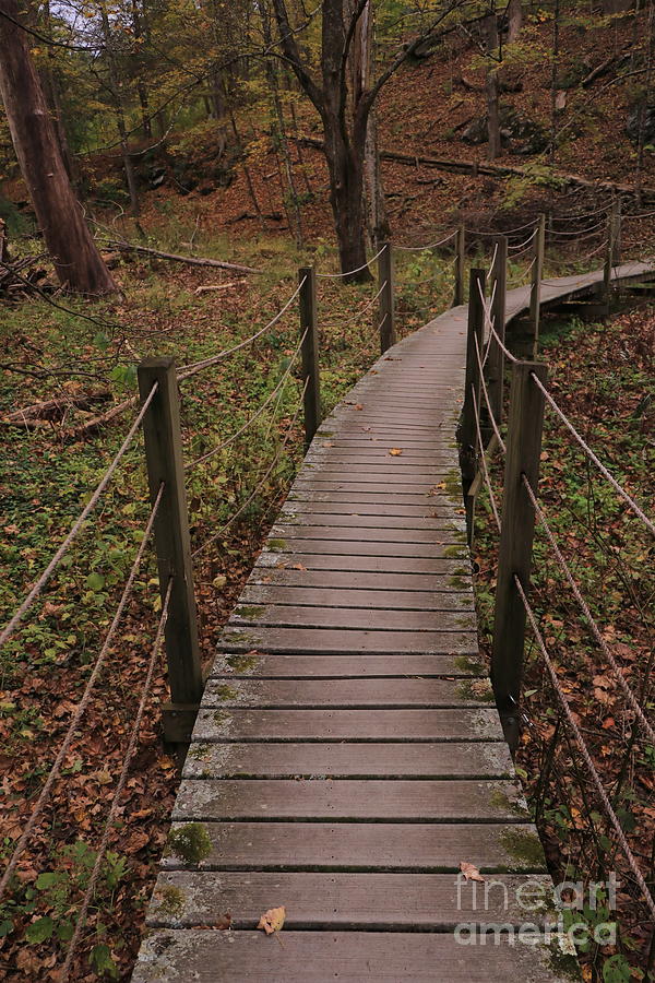 Bridge Path in Autumn Woods Photograph by Kris Notaro