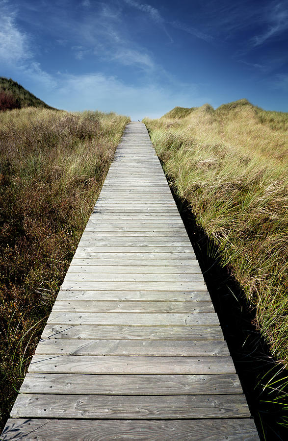 Bridge Through Sand Dunes by Querbeet