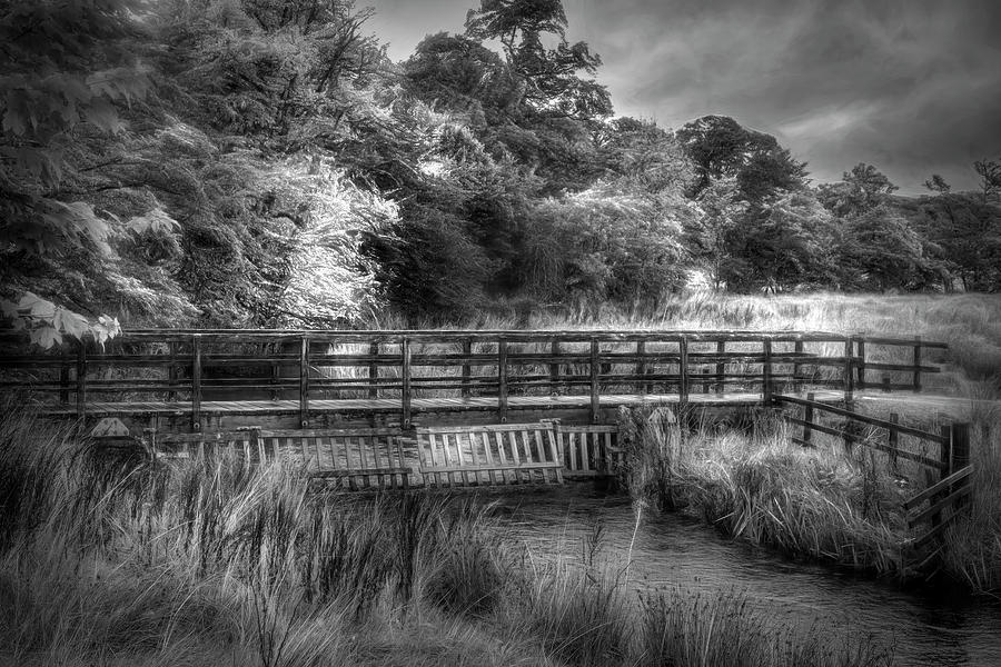 Bridge Through Scotland  Black and White Photograph by Debra and Dave Vanderlaan