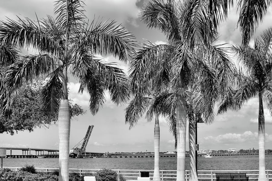 Bridge Through the Palms Photograph by Robert Wilder Jr