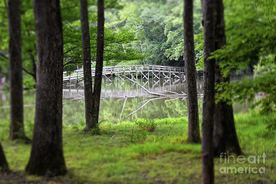 Bridge Through The Trees at Hungry Mother State Park Photograph by Kerri Farley