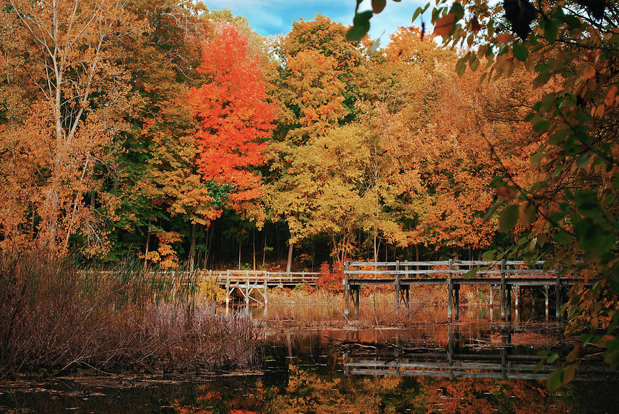 Fall Photograph - Bridge to Autumn by Kristina Scarcelli