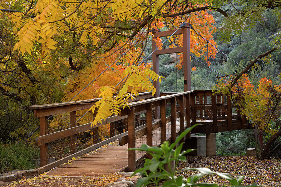 Bridge to Autumn Photograph by Sue Cullumber