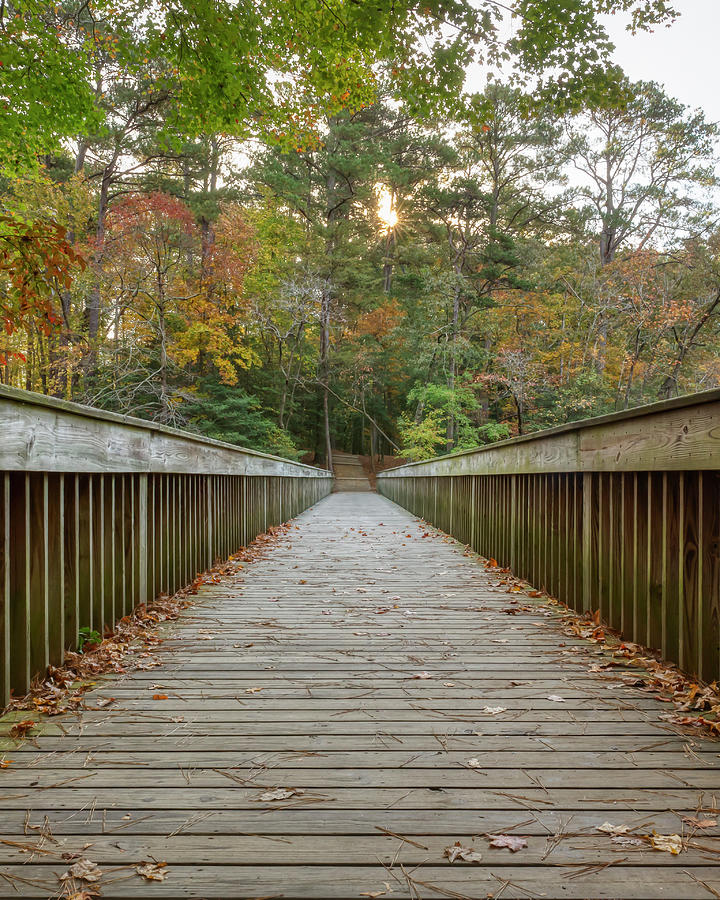 Bridge to Fall Photograph by Donna Twiford