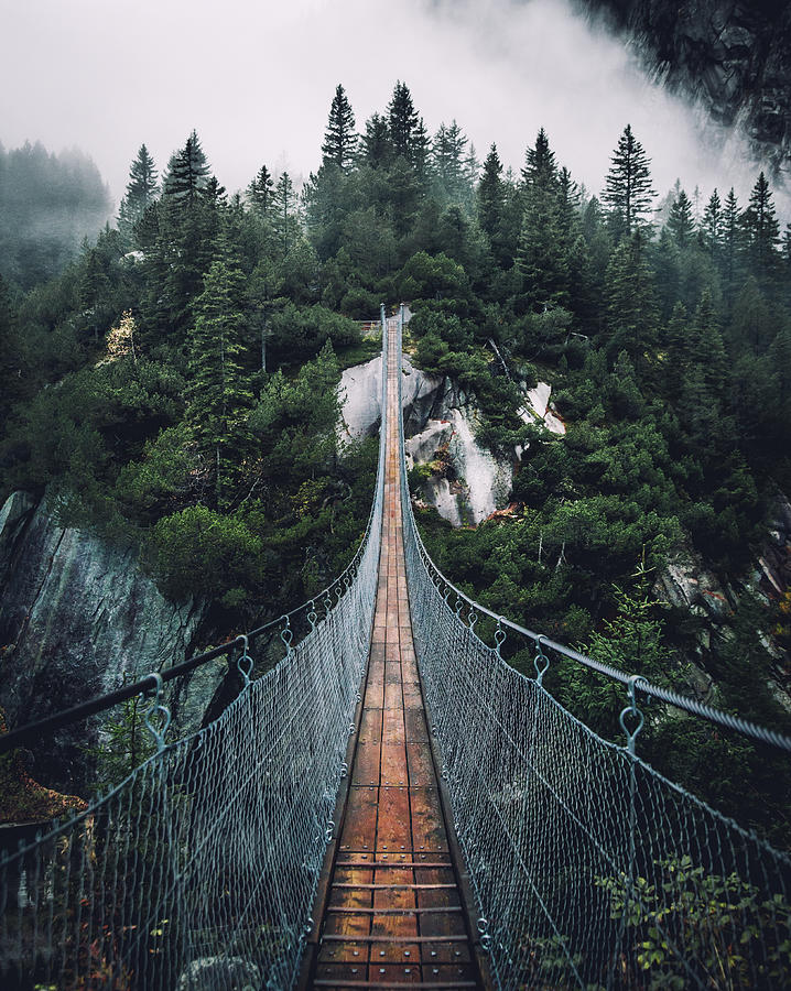 Bridge Photograph by Witold Ziomek | Fine Art America