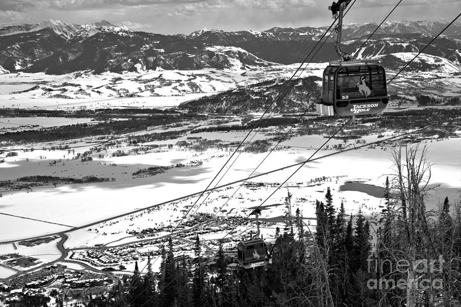 Bridger Gondola Climbing Above The Trees Black And White Photograph by Adam Jewell