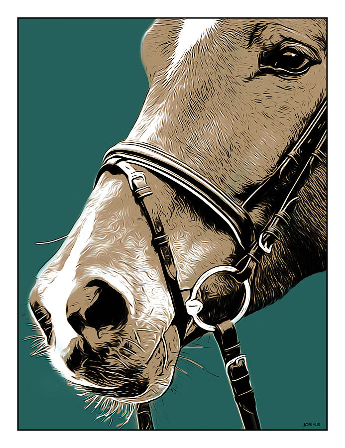 Horse Digital Art - Bridled by Greg Joens