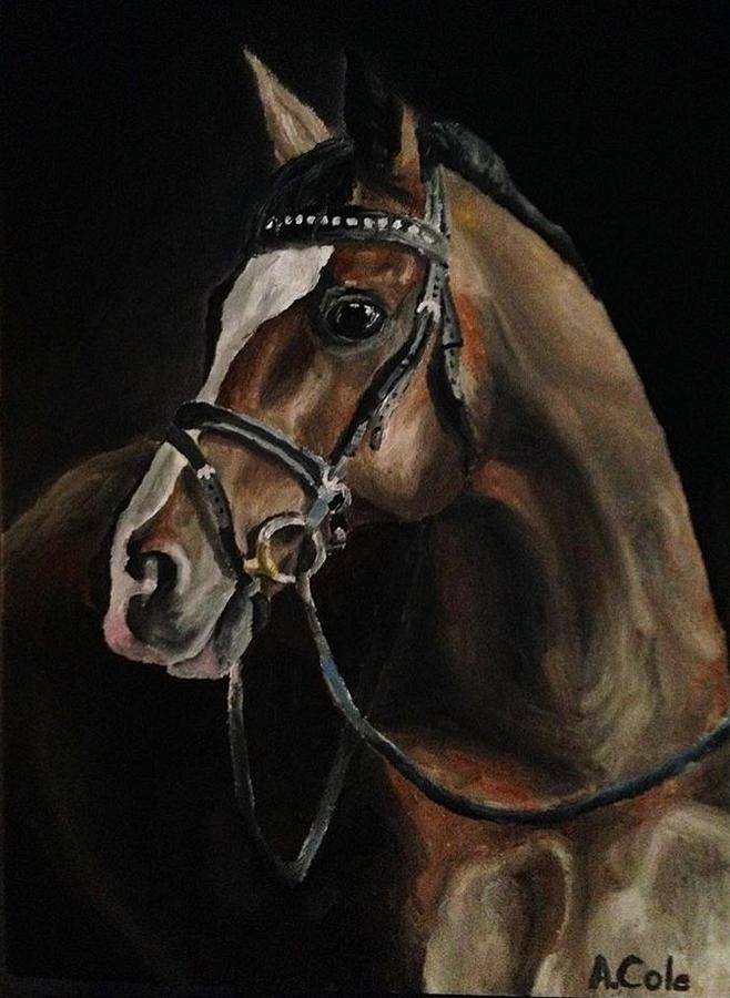 Bridled horse Painting by Anna Cole - Fine Art America