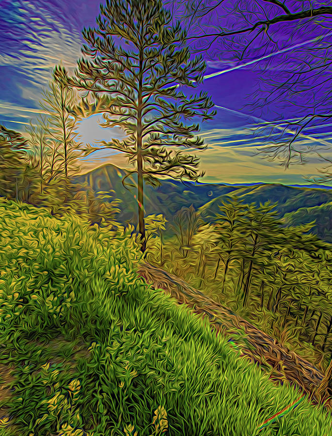 Bright and Early, Abstract by Marcy Wielfaert Bright and Early, Abstract by Marcy Wielfaert