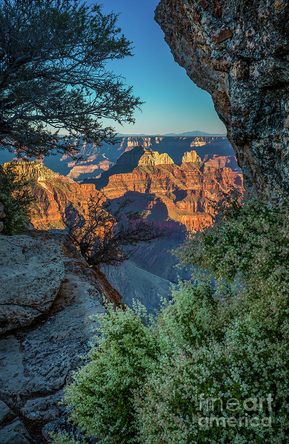 America Photograph - Bright Angel Window by Inge Johnsson America Photograph - Bright Angel Window by Inge Johnsson
