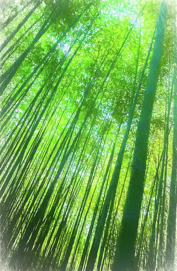 Bright Bamboo Forest by Michael Campbell Bright Bamboo Forest by Michael Campbell