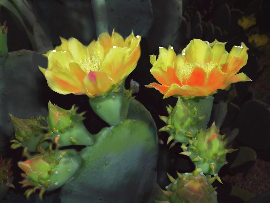 Bright Blossum, Sharp Thorns Digital Art by Cynthia Westbrook