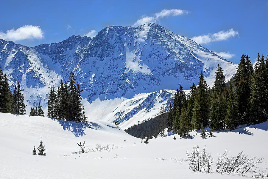 The Alpen Snow Photograph