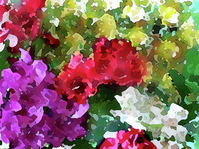 Bright Floral Abstract Photograph by Corinne Carroll