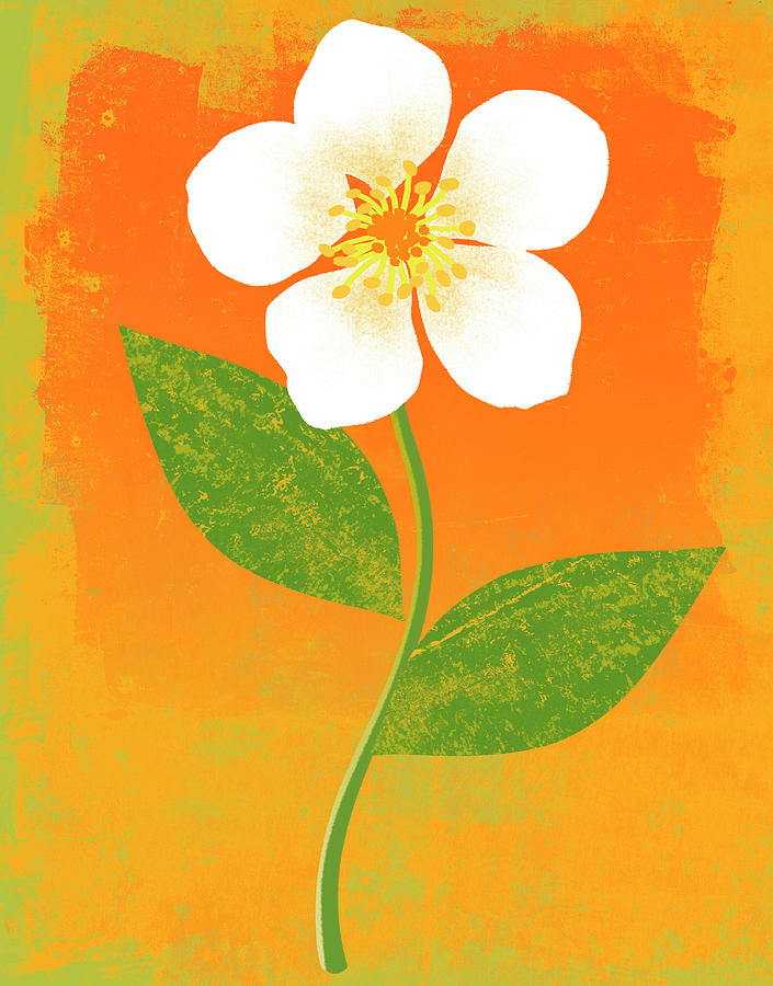 Bright Flower Digital Art by Don Bishop