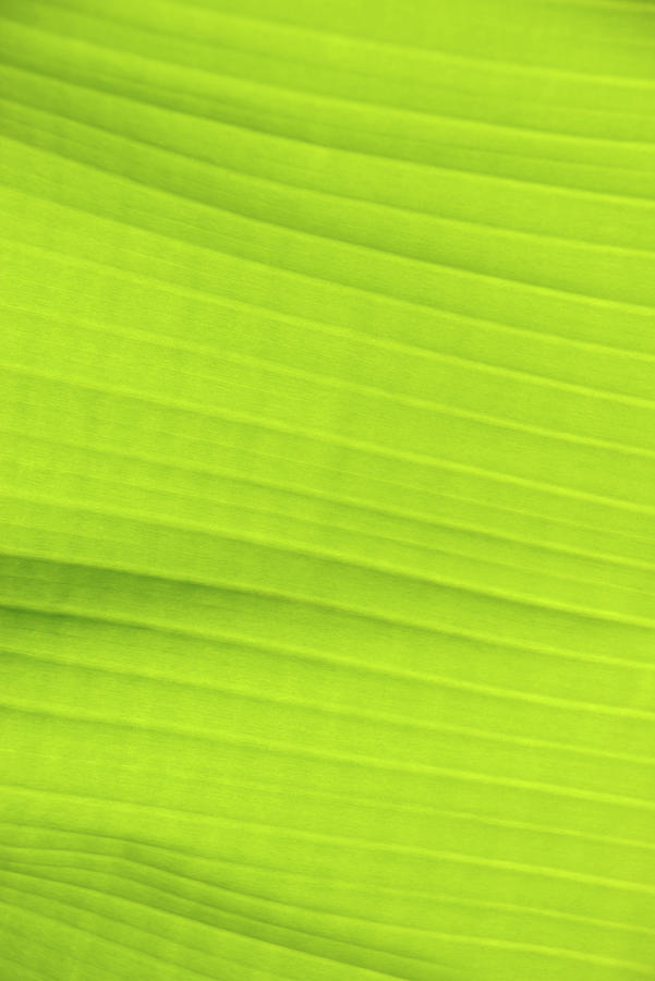 Bright Green Banana Leaf Background by Peskymonkey